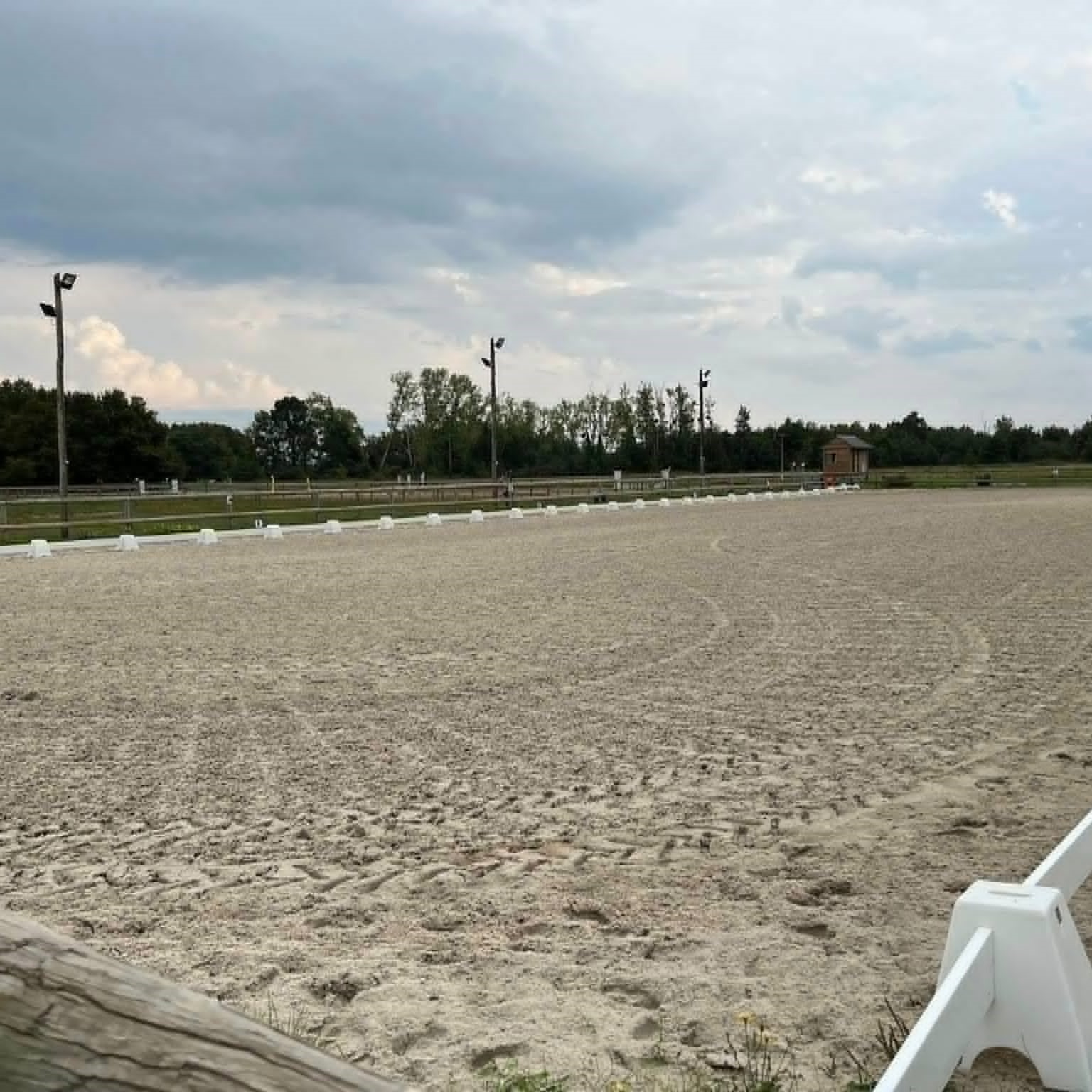 carrière dressage